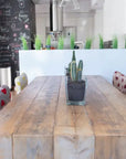 Fama Ginger Dining Chairs