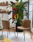 Calligaris Connubia Forma CB2354 Chair