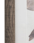Natures Rhythm Framed Art Set of 2
