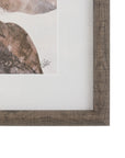 Natures Rhythm Framed Art Set of 2