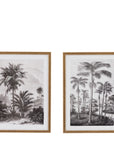 Colonial Sketches Framed Art Set of 2