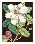 Art Marketing Laurel Tree