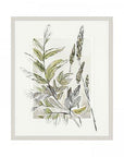 Art Marketing Royal Fern
