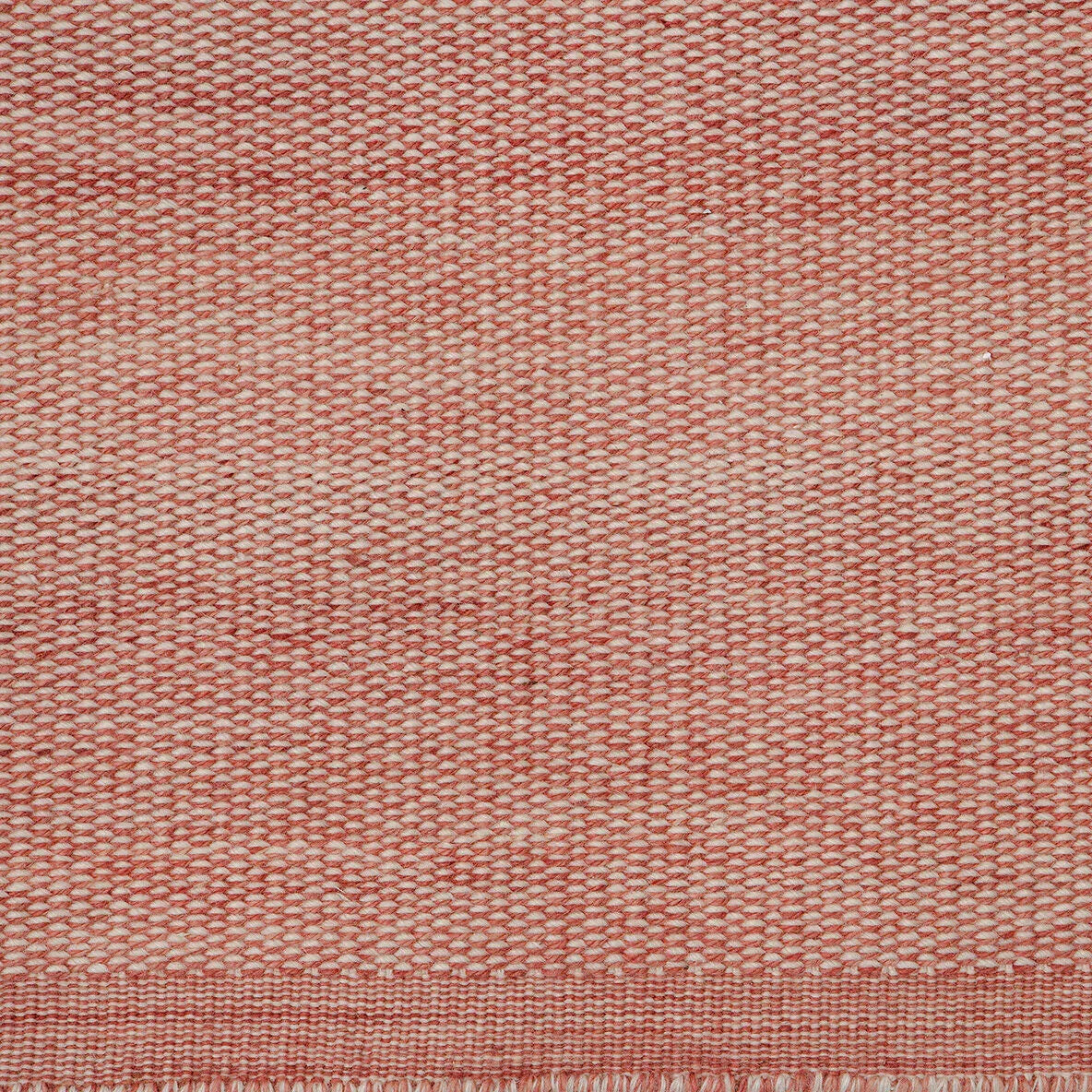 Fabula Bellis Rugs