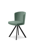 Peressini Doris S