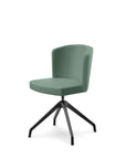 Peressini Doris S