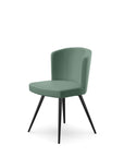 Peressini Doris S