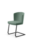 Peressini Doris S