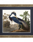 Art Marketing Louisiana Heron