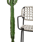 Calligaris Connubia YO! Chair (CB1991-E)