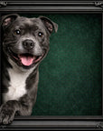 Fellini Home Peeking Staffordshire Bull Terrier Frame