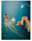 Fellini Home Jellyfish Glass Wall Art