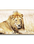 Fellini Home Golden Lion Glass Wall Art