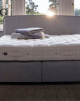 VISPRING Elite - Fellini Home Ltd