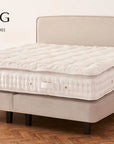 VISPRING Elite - Fellini Home Ltd
