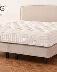 VISPRING Elite - Fellini Home Ltd