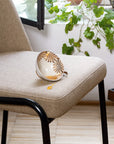 Calligaris Connubia Juna CB2356 Chair