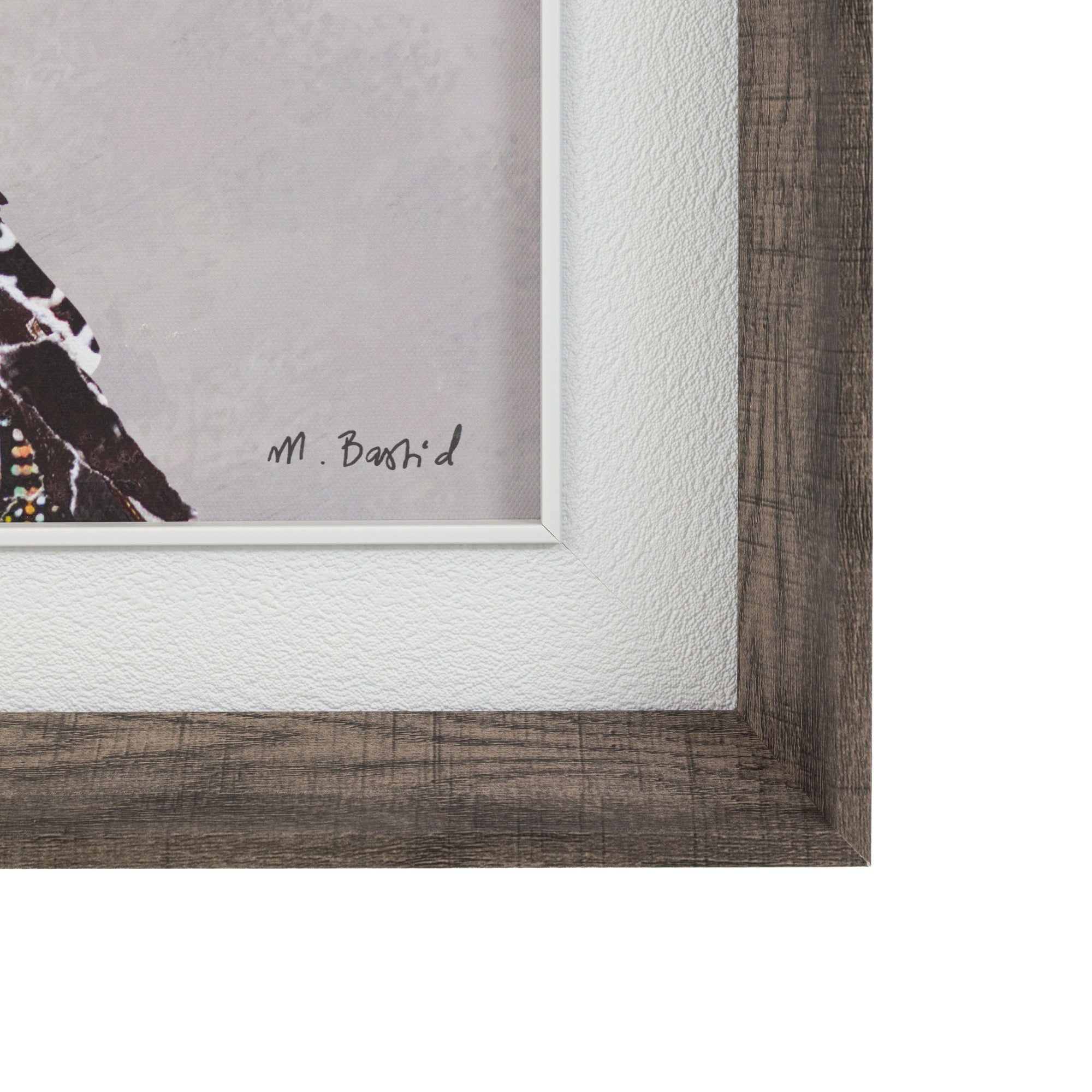 In the Wild I Framed Canvas