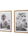 Colonial Sketches Framed Art Set of 2