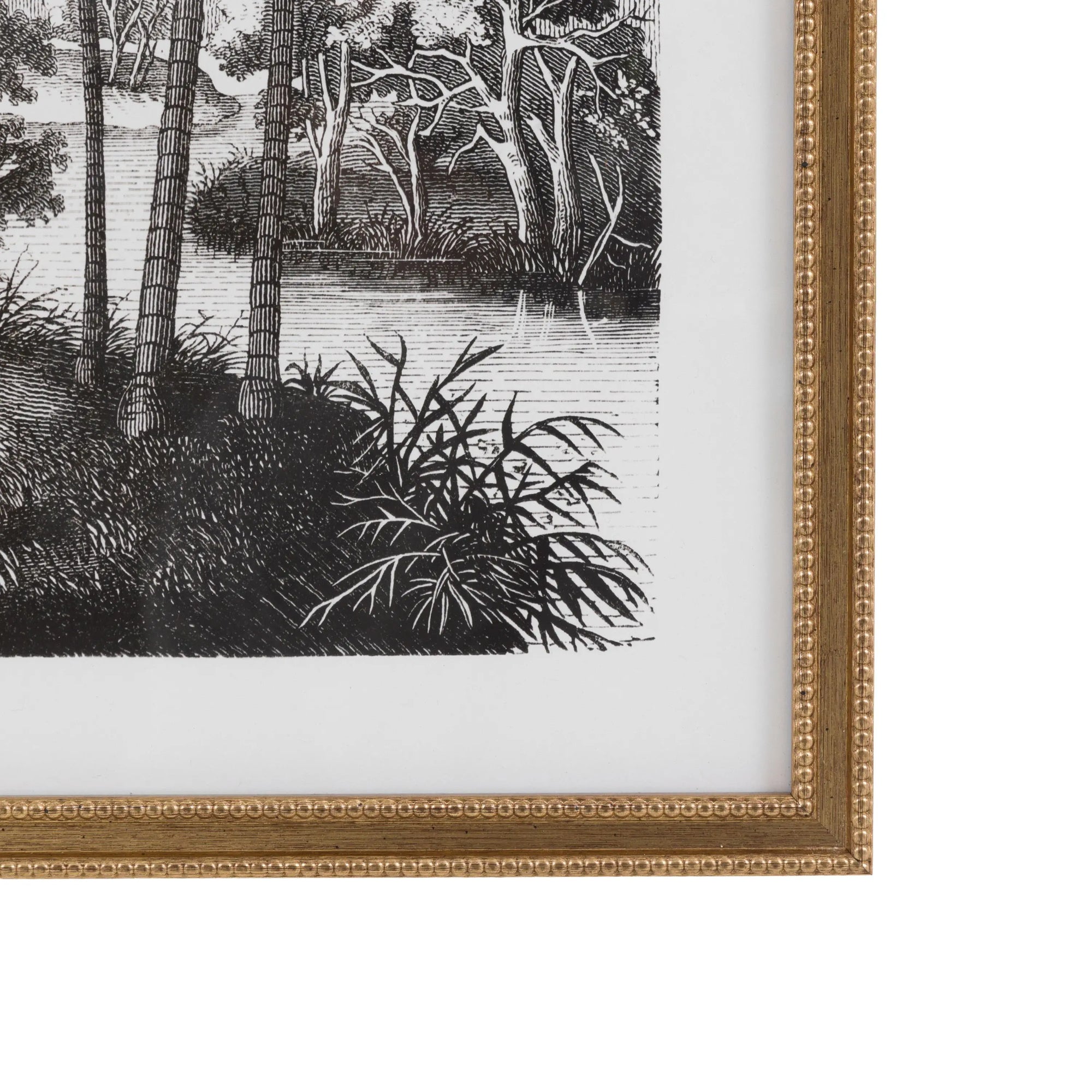 Colonial Sketches Framed Art Set of 2