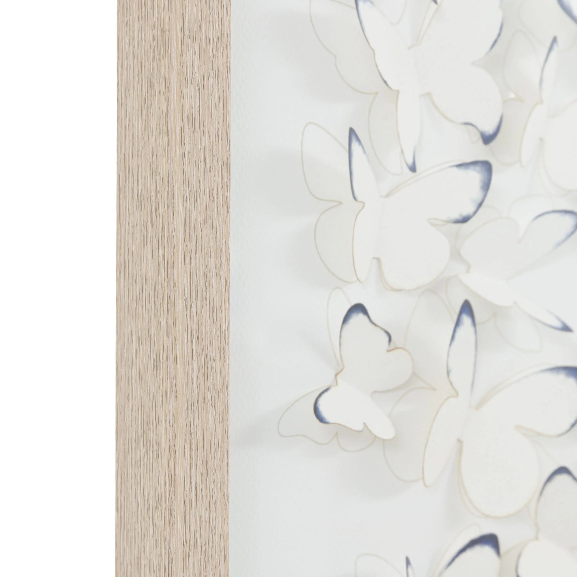 Unfurling Wings Framed Art
