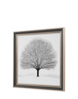 Silent Beauty Framed Art