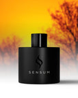 African Sunset - 30ml Fragrance for Mist Diffuser