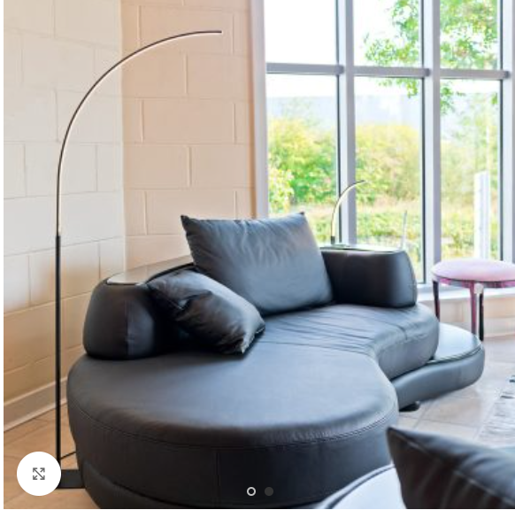 Fellini Home Curved LED Floor Lamp
