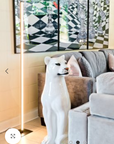 Fellini Home Dimmable Floor Lamp
