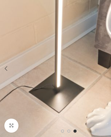Fellini Home Dimmable Floor Lamp