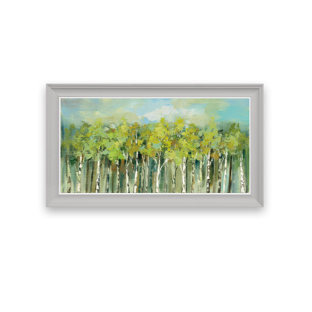 Ocean Publishing April Tree Tops