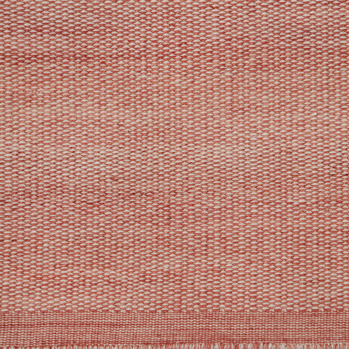 Fabula Bellis Rugs