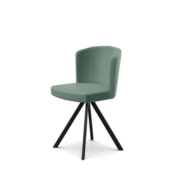 Peressini Doris S