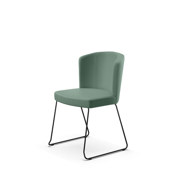 Peressini Doris S