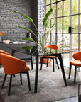 Calligaris Connubia Tuka Chair (CB2117) Beech/Ashes Frame