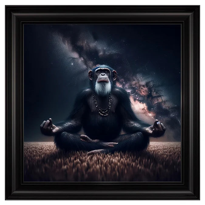 Fellini Home Yoga Chimp Frame