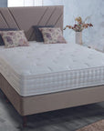 Highgrove Plaza Divan Bed - Fellini Home Ltd