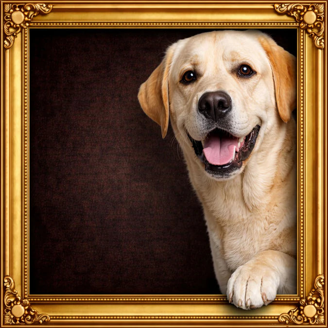 Fellini Home Peeking Labrador Frame