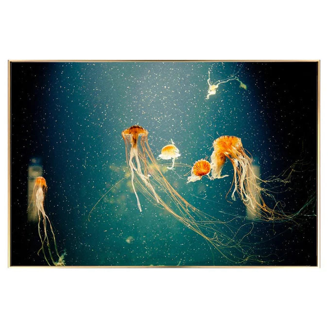 Fellini Home Jellyfish Glass Wall Art