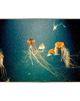 Fellini Home Jellyfish Glass Wall Art