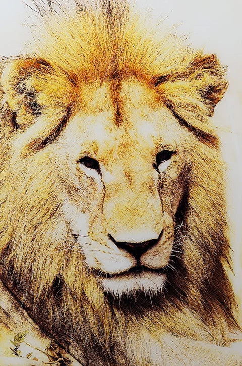 Fellini Home Golden Lion Glass Wall Art