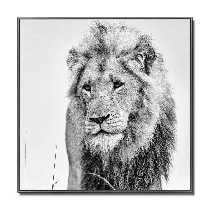 Fellini Home Black and White Lion Glass Wall Art
