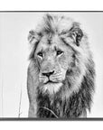 Fellini Home Black and White Lion Glass Wall Art