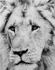 Fellini Home Black and White Lion Glass Wall Art