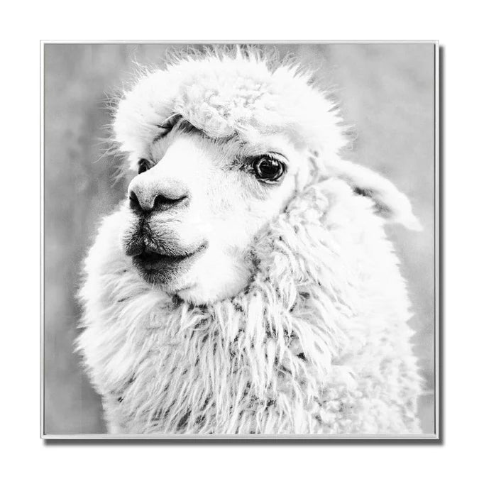 Fellini Home Alpaca Glass Wall Art