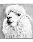 Fellini Home Alpaca Glass Wall Art