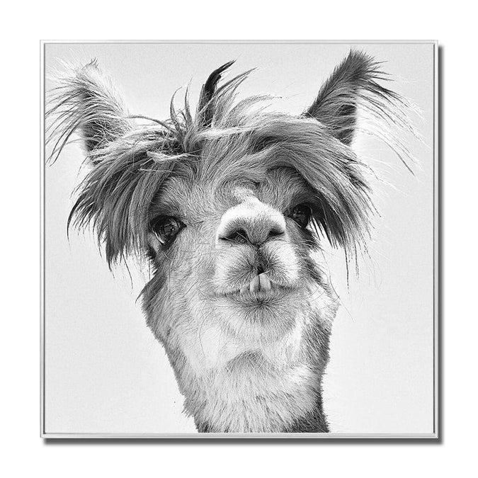 Fellini Home Llama Glass Wall Art
