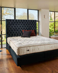 VISPRING Tiara Superb - Fellini Home Ltd